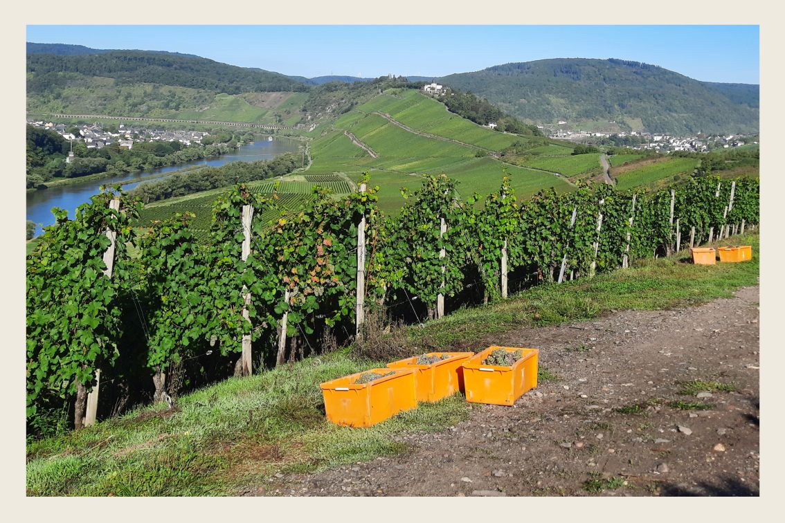 Hier klicken um Bilder anzuzeigen