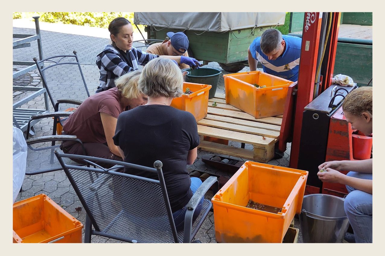 Hier klicken um Bilder anzuzeigen