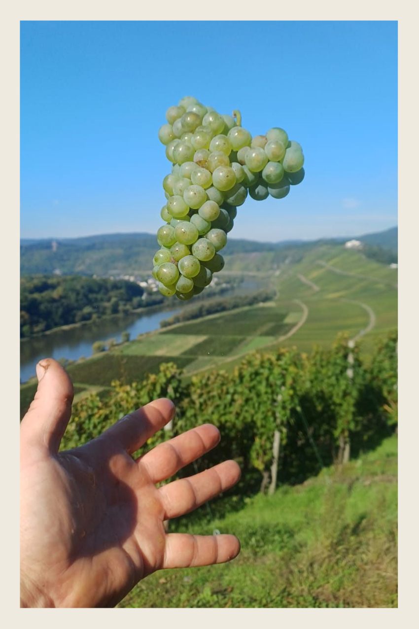 Hier klicken um Bilder anzuzeigen