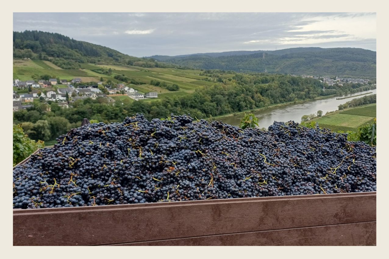 Hier klicken um Bilder anzuzeigen