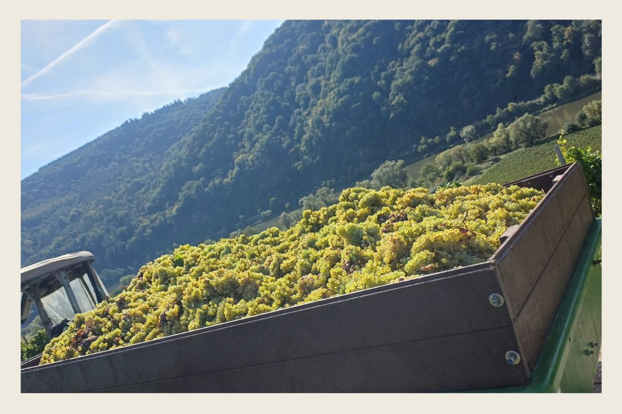 Hier klicken um Bilder anzuzeigen