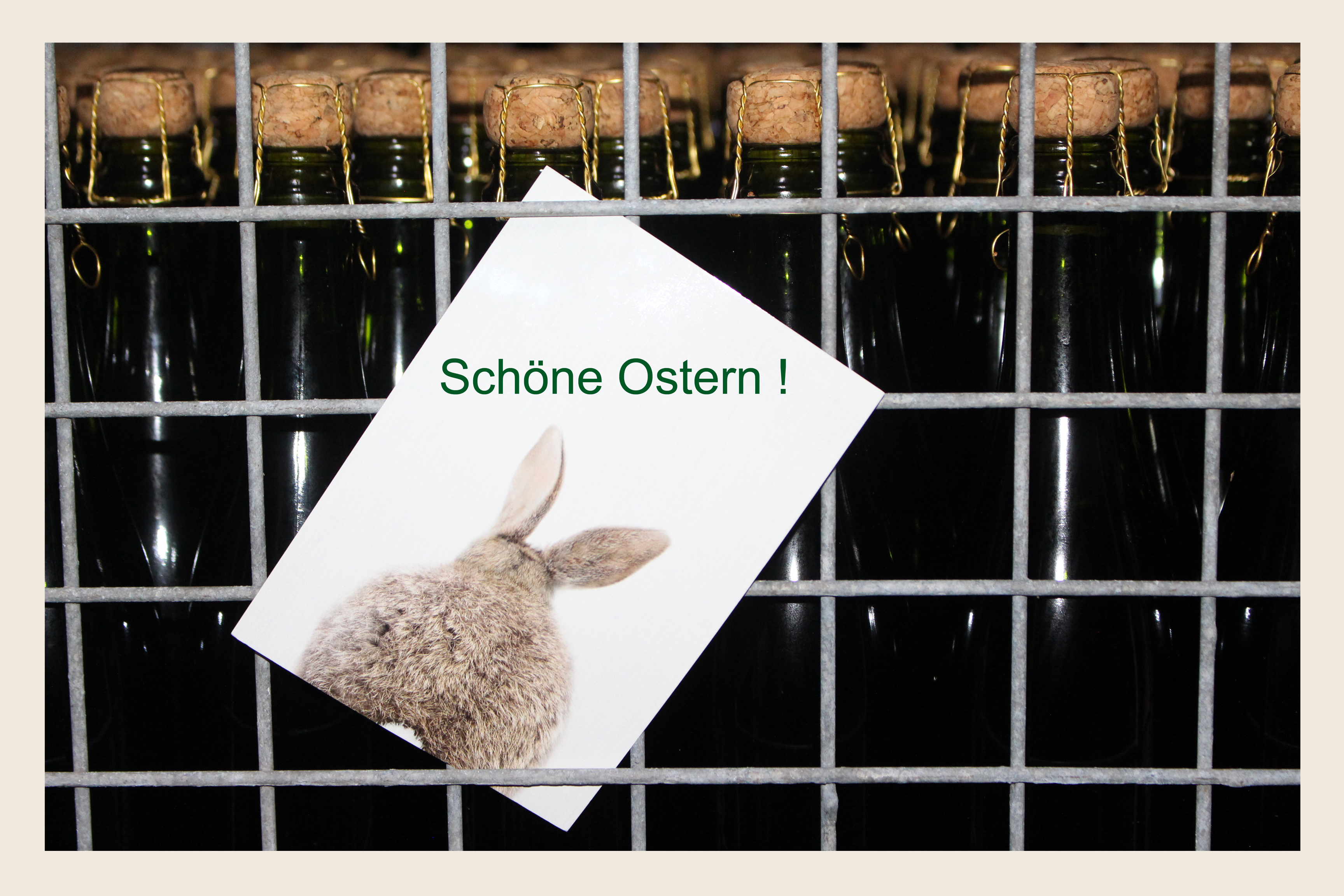 Hier klicken um Bilder anzuzeigen